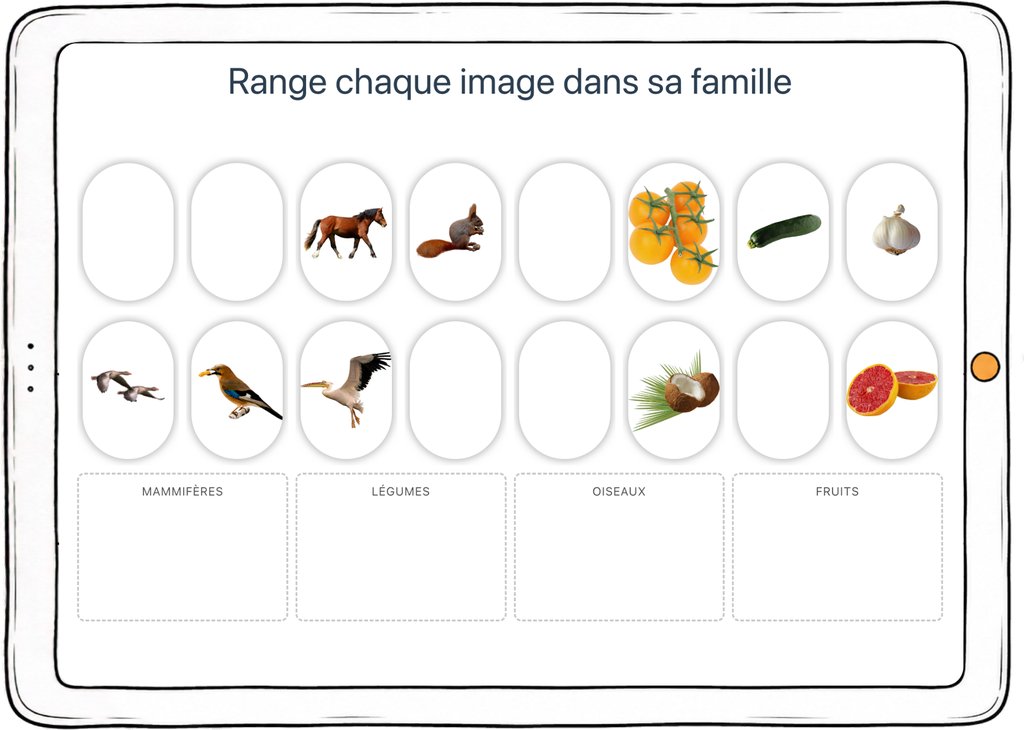 Capture d’écran de l’exercice « Range chaque image dans sa famille » : images à classer entre mammifères, légumes, oiseaux et fruits.