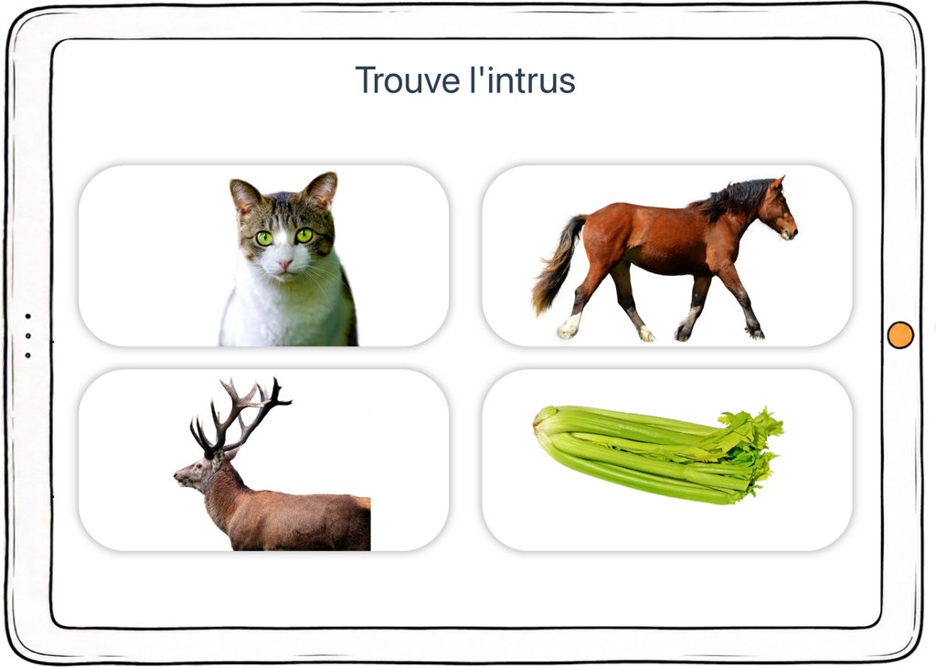 Capture d’écran de l’exercice « Trouve l’intrus » : trois animaux et un légume.