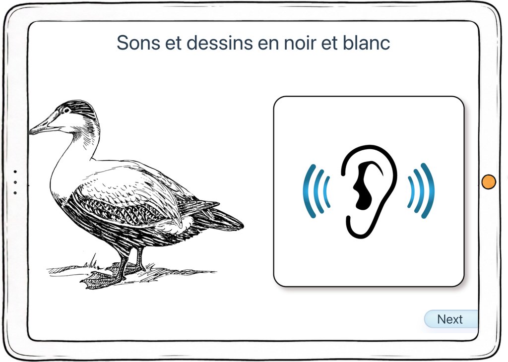 Capture d’écran de l’exercice « Sons et dessins en noir et blanc » : un dessin au trait associé à un son.