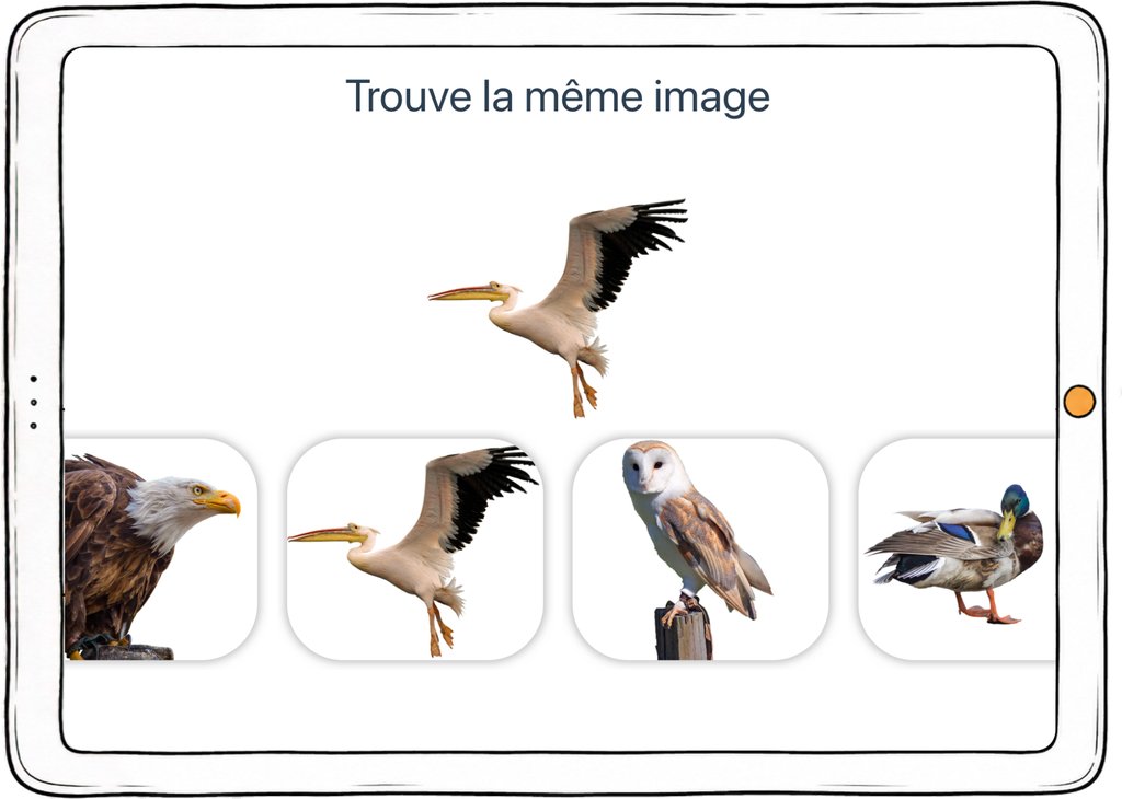 Capture d’écran de l’exercice « Trouve la même image » : un oiseau modèle à retrouver parmi quatre propositions.