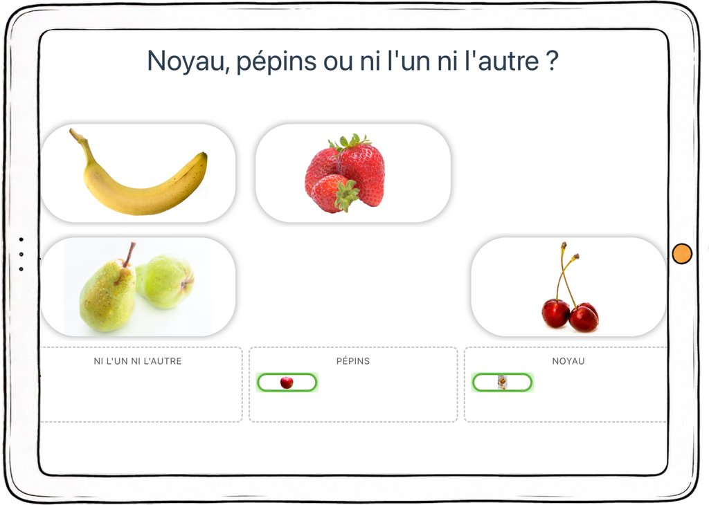 Capture d’écran de l’exercice « Noyau, pépins ou ni l’un ni l’autre ? » : des fruits à classer selon un critère sémantique.